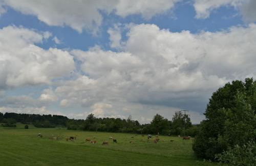 Allgäuer Paradieswinkel - Foto 18