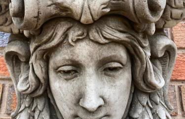 Myrtleberry Studio BnB - Foto 27