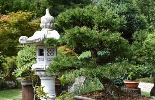 Ogród Shinrin Yoku (Haru) Odpoczynek w Lesie - Foto 12