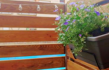 Friends&Family - Photo 40