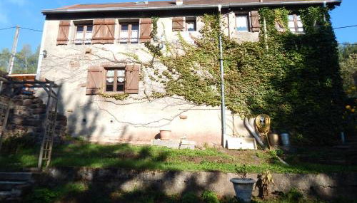 Le Petit Biscuit - Photo 4, Other