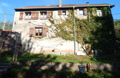 Le Petit Biscuit - Photo 4