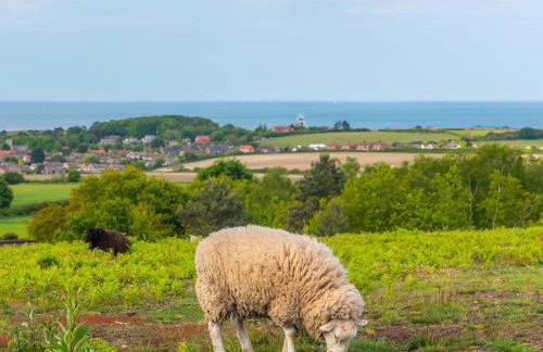 Robin's Retreat - Photo 34