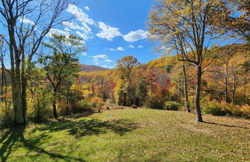 Hidden Gem on Hidden Valley Lane - Photo 47