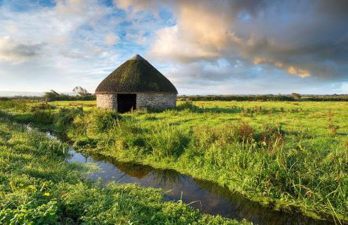 A charming pet-friendly 2-bedroom cottage - Foto 24