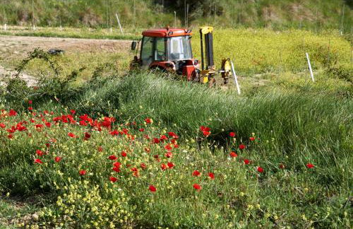 Masia Heredad La Boquilla - Foto 119