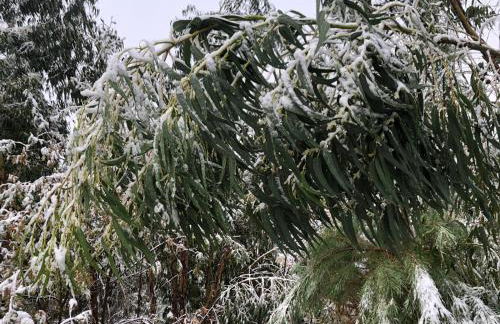 Retiro Da Arminda - Foto 7