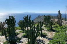 ΠΕΤΡΙΝΟ στην Άνδρο - Foto 24