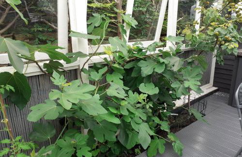 The Treehouse by Airlie - Foto 40