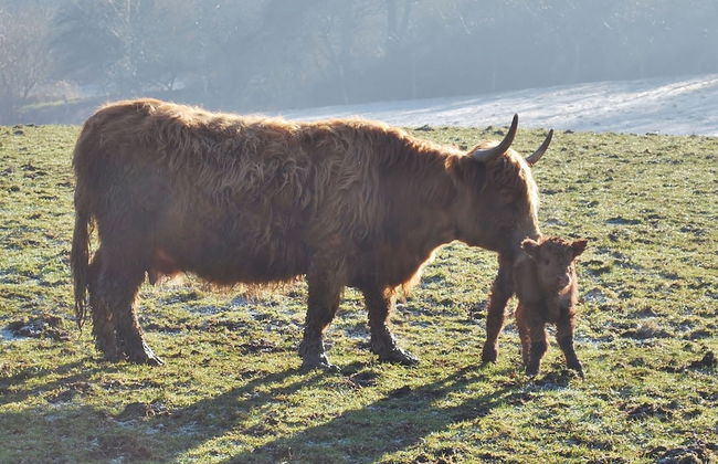 Chic Apartment in Thuringia With Sauna - Foto 58