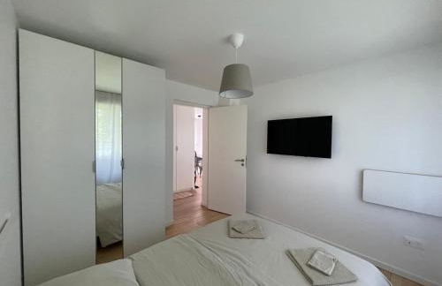 Olivier du ciel ODC - Photo 9