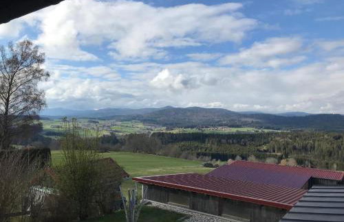 Ferienwohnungen Lusenblick - Foto 6