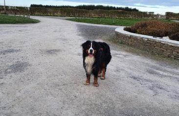Self-catering Lighthouse Keeper's Cottage on the NC500 - Photo 63