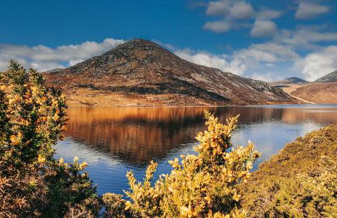 Beachside - Stunning sea view townhouse across the road from the beach - Foto 45