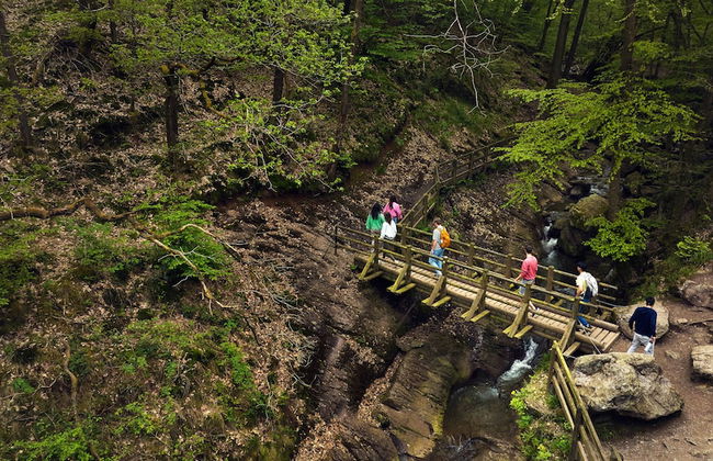 Center Parcs Les Ardennes - Photo 65