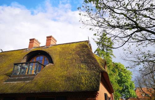 Reethaus mit Meerblick- In 30 Sekunden am Strand - Foto 14