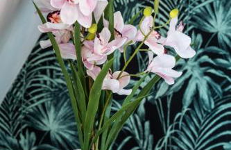 Beautiful Renovated Studio - next to the metro - Foto 5