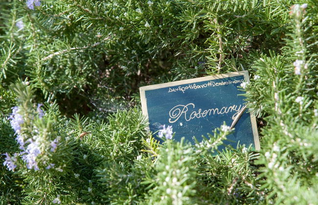 Serenity River Villa - Foto 34