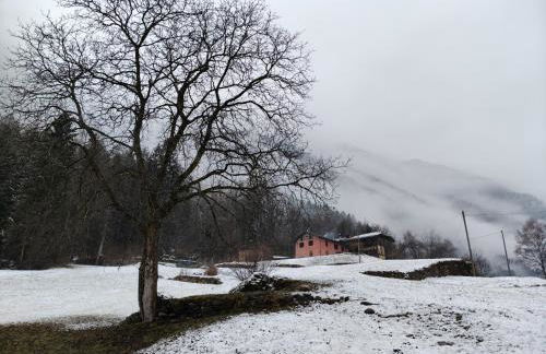 Il Maso del Nonno - Foto 22