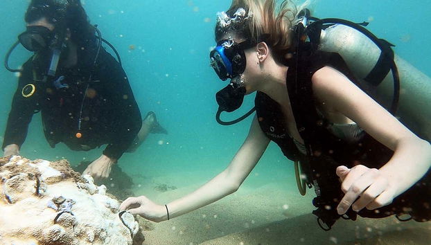 Descubriendo el fondo marino de San Juan