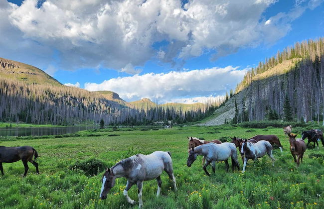 Backcountry Outfitters - Foto 9