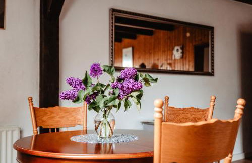 Olifant in Osterode - Foto 22