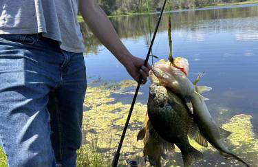 Rolling Oaks Ranch - 200 Acres of Lakeside Beauty & Countryside Serenity - Foto 8