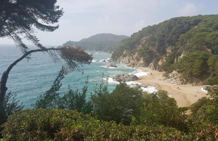 Apartamento Marimurtra Blanes con vistas al mar - Foto 22