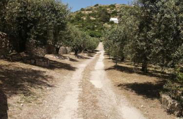 Monolocale zona Mare Pisturri - Foto 12