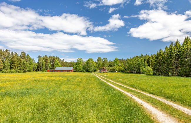 Vassviken - Photo 26