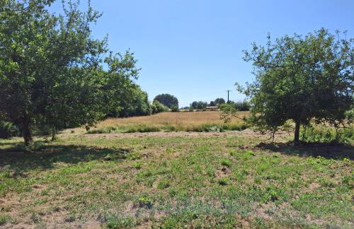 Les Volets Verts, ROUSSINES, CHARENTE, 16310 FRANCE - Foto 32