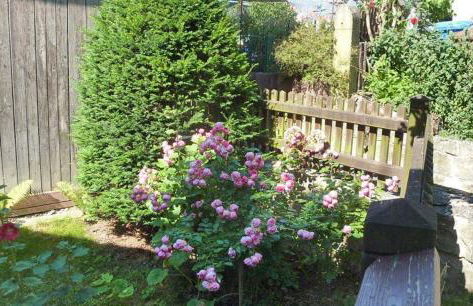 Große Prinzessin - Appartement mit Saunanutzung - Foto 56