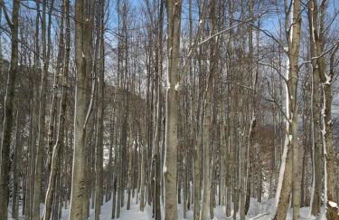 B&B Scacco Matto - Foto 46