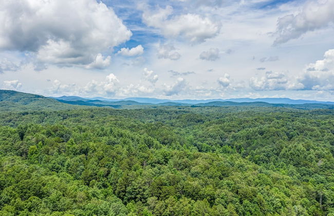 Treetop Oasis Retreat - Foto 16