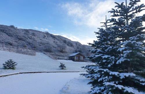 Newland Valley Log Cabins - Foto 79