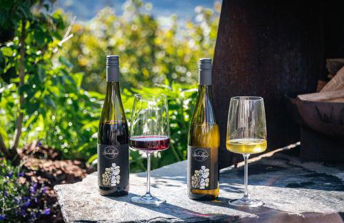 Steindlgut - Weinberg Chalets - Foto 10