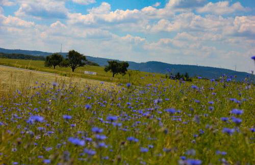 Ferienhaus am Rheinsteig / Nähe Hindenburghöhe / Loreley - Photo 18