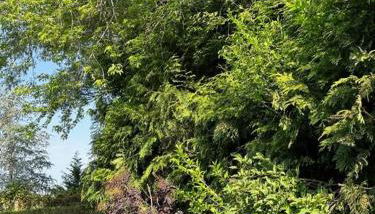 Quiet Luxury in the Heart of the Hamptons - Foto 2