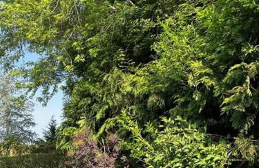 Quiet Luxury in the Heart of the Hamptons - Foto 2