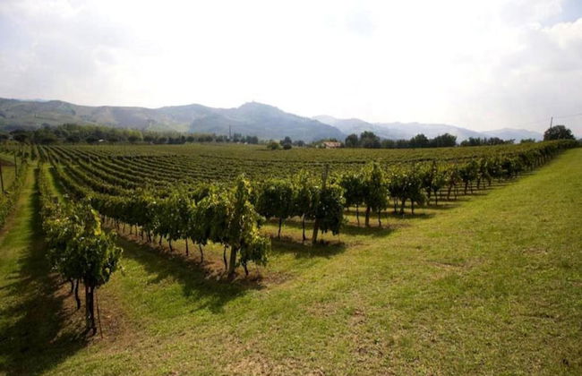 Spacious Home With Pool - Foto 40