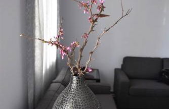 Green Point Home Chios - Foto 18