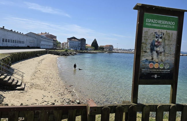 Seaside Apartment Sleeps 6 With Balcony - Photo 23