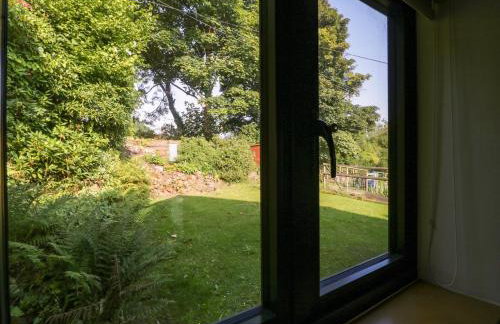 Black Cat Bach - Foto 23