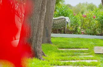 Casa Masini San Teodoro - Foto 24