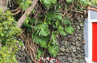 Casinha de Nesquim - Photo 21