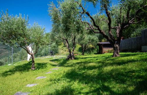 Ollie`s house - Foto 66