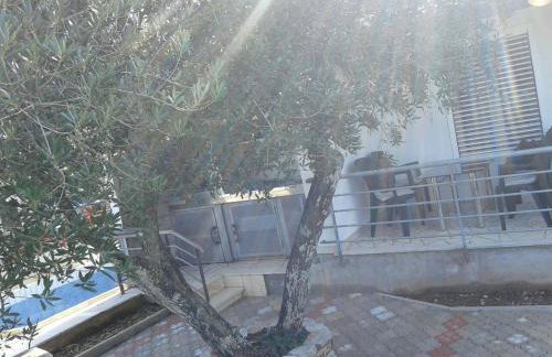 Iva Lavanda - Photo 10