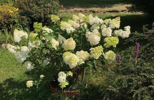 Villa Apia - Foto 60