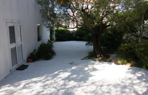 Olive Garden Apartments - Photo 36