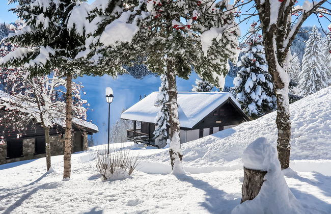 Le Cyclamen - Photo 2